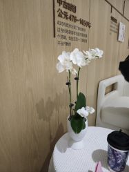 -广东韩妃整形外科医院