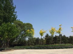 -东郊湿地公园
