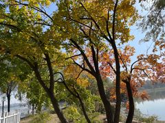 -长春市南湖公园