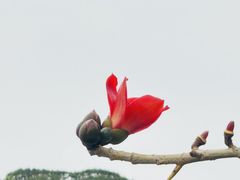 -东山湖公园