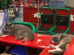 -KingBull私教健身&格斗订制(龙井商业中心店)