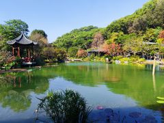 -云溪植物园