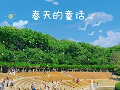 -音乐台