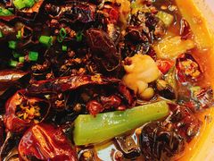 -铁公鸡·四川料理(天环广场店)