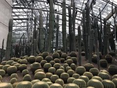 -南山植物园