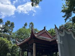 -万泊酒店(长沙五一广场国金中心店)