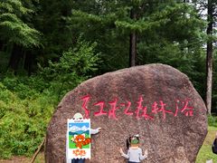 -五营红松林海景区