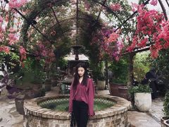 -The Grounds of Alexandria