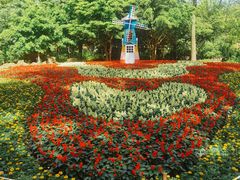 -上海共青森林公园