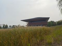 -白洋淀景区
