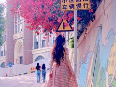 -小南山公园