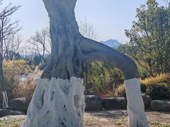 -三垟湿地