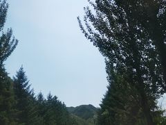 -中华三祖圣地黄帝城遗址文化旅游区