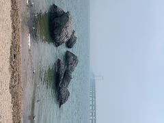 -黑石礁公园