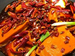 -阳阳老火锅(小南门店)