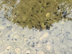 -中铁花水湾四季温泉谷