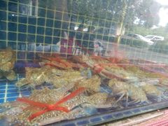 -西涌国际滨海旅游区