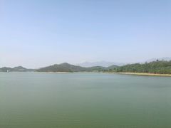 -水库河鲜村