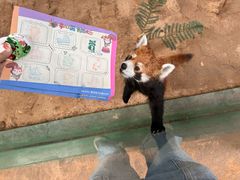 -石家庄市动物园