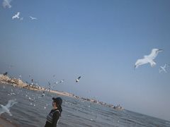 -老虎石海上公园