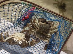 -乡乐园蟹庄·阳澄湖农家乐