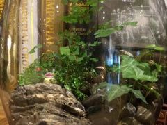 iphone_upload_pic-婷意花宇TheGracesFloral(北外滩店)