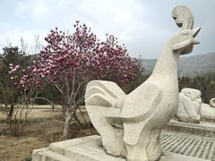 -北京十三陵国家森林公园蟒山景区