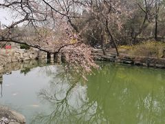 -博雅塔