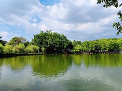 -东莞市可园博物馆