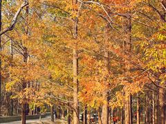 -白水寺森林公园