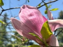 -筋骨堂热敷推拿按摩(翠华路店)