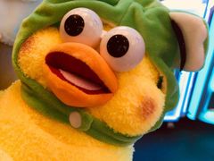 -PAWTOY爪e玩偶店(天兴罗斯福店)