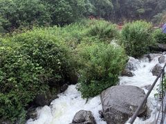 -苍山感通索道