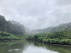 -吴记迎风楼北渡鱼
