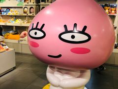 -KAKAO FRIENDS(弘大店)