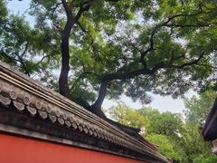 -北京植物园南门售票处