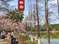 -东莞植物园