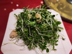 -南来顺饭庄·清真(南菜园店)