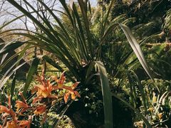 -南山植物园