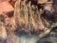 -高玛纳驴肉火烧(河间总店)