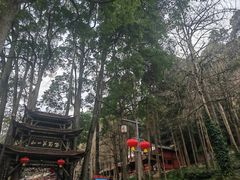 -青城山