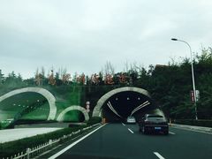 -胶州湾海底隧道