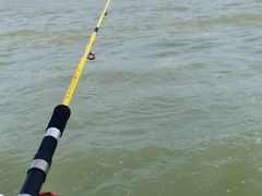 -小猫钓鱼海钓俱乐部(椰梦长廊店)