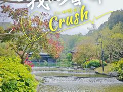 -云溪植物园