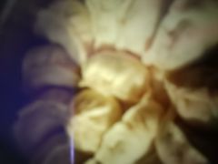 -老长春肉馆(创业大街店)