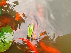 -丝绸小镇荻港古村