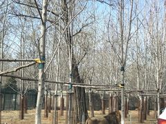 -秦皇岛野生动物园