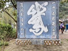 -靖西鹅泉风景区