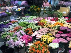 -双季花艺园艺市场(浦东店)
