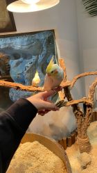 -Zoolung Zoolung动物主题公园(海信广场店)